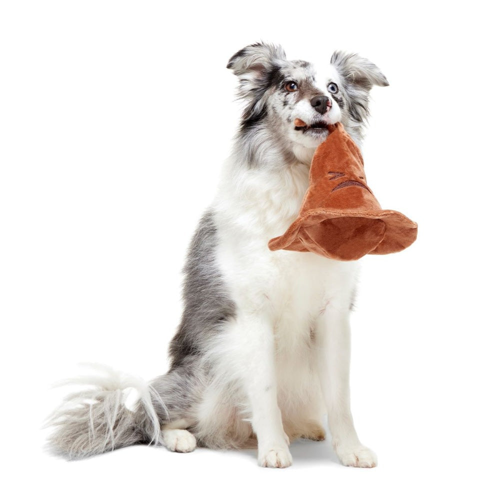 The Sorting HatTM