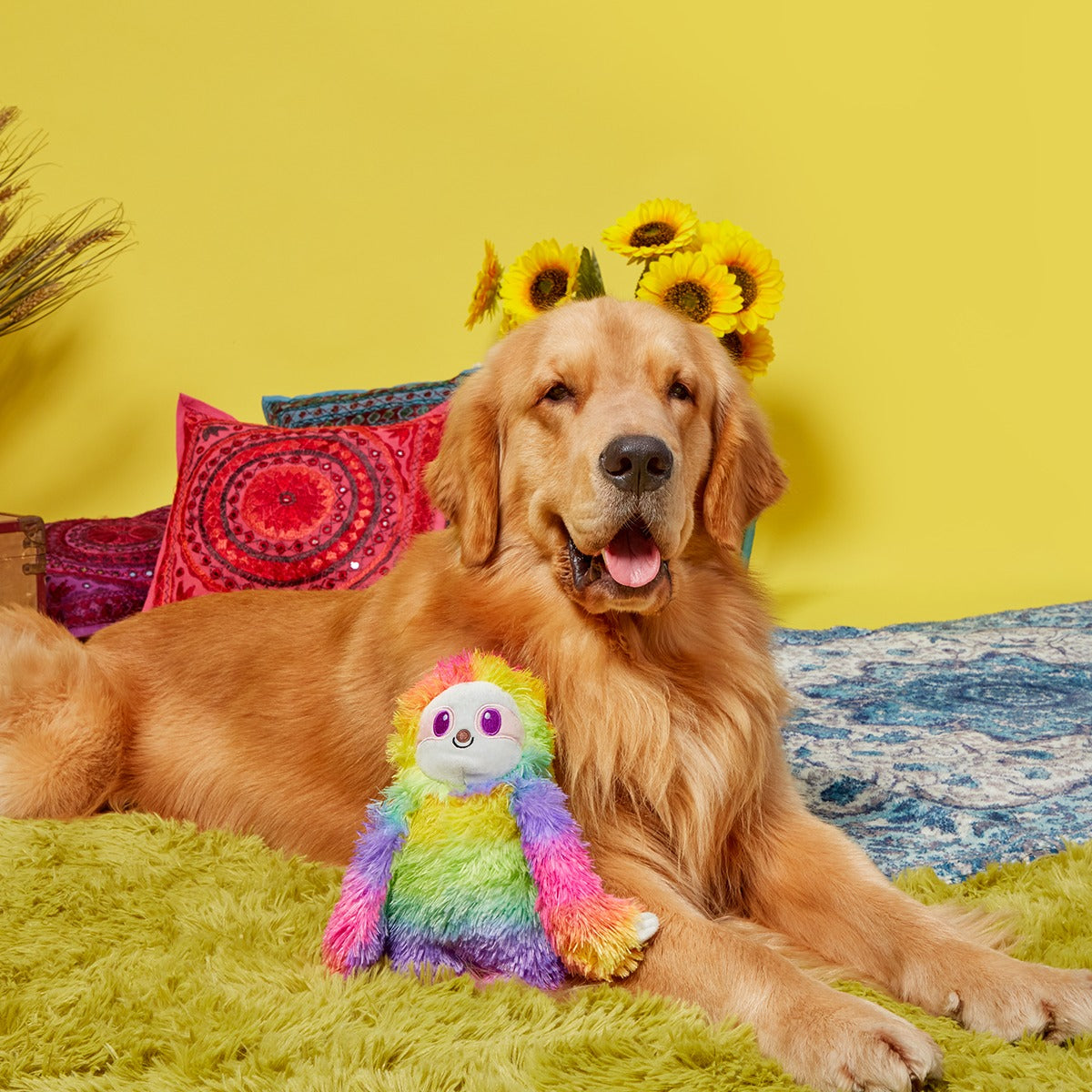 Hairy Garcia Plush Tug Dog Toy