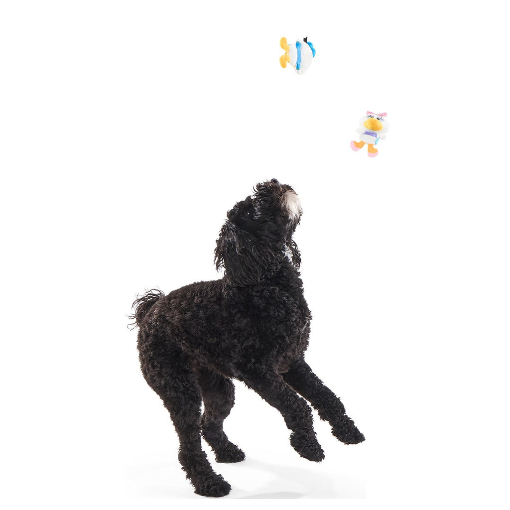 Ducks of a Feather Plush Multi-Part Dog Toy
