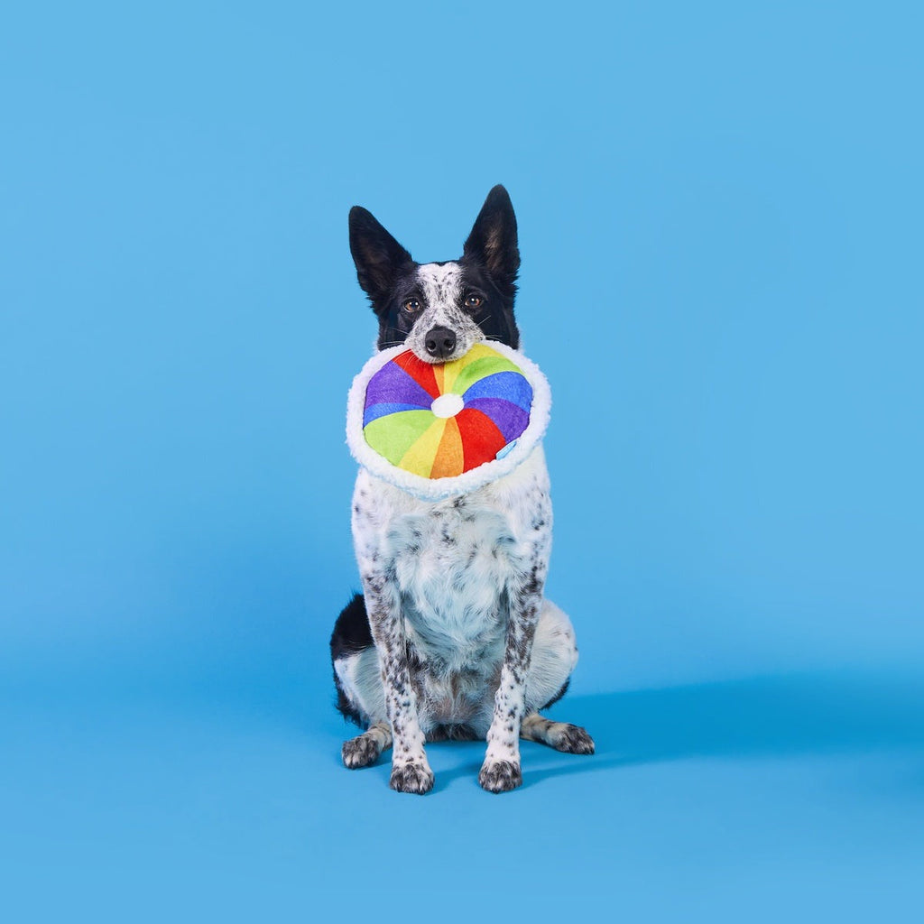 Rainbow-wow Bagel Plush Tug Dog Toy