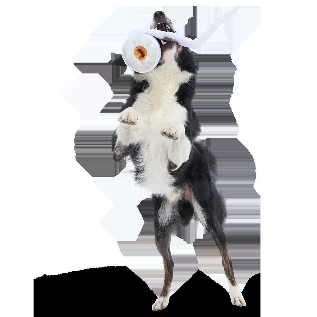 Shred Head Fred Plush Enrichment + Tug Dog Toy