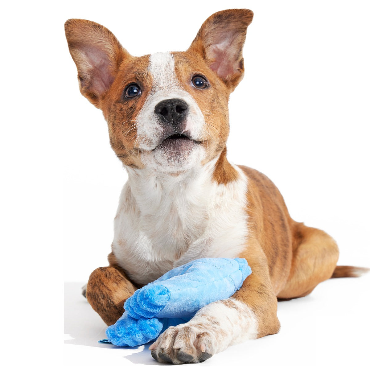Squeaky Clean Mom Jeans Plush Tug Dog Toy