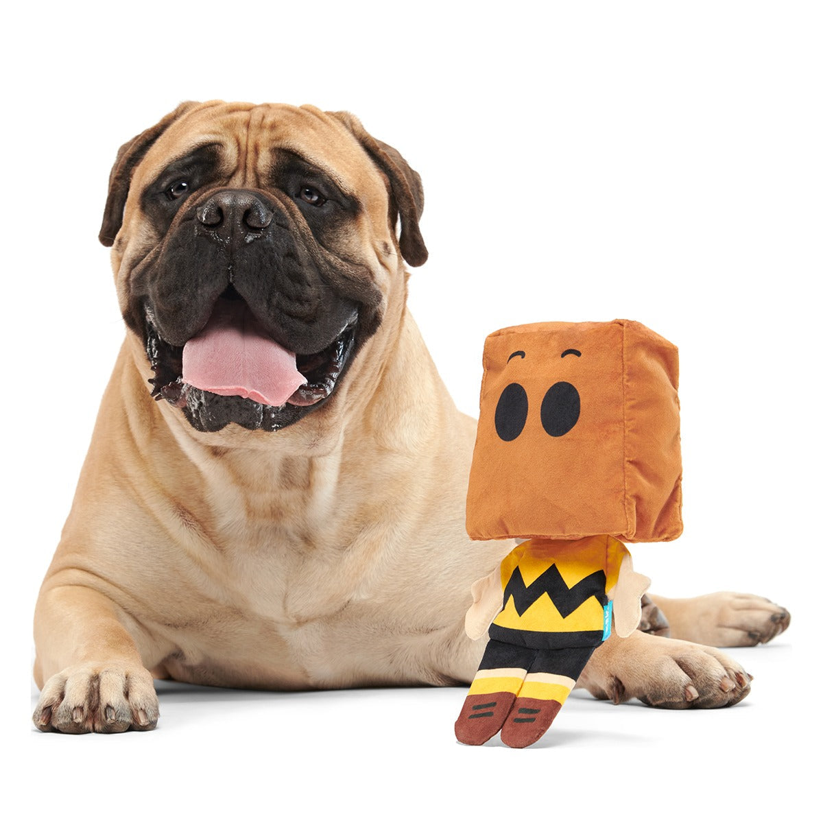 Dr. Jekyll & Mr. Sack Plush Extra-Large + Tug Dog Toy
