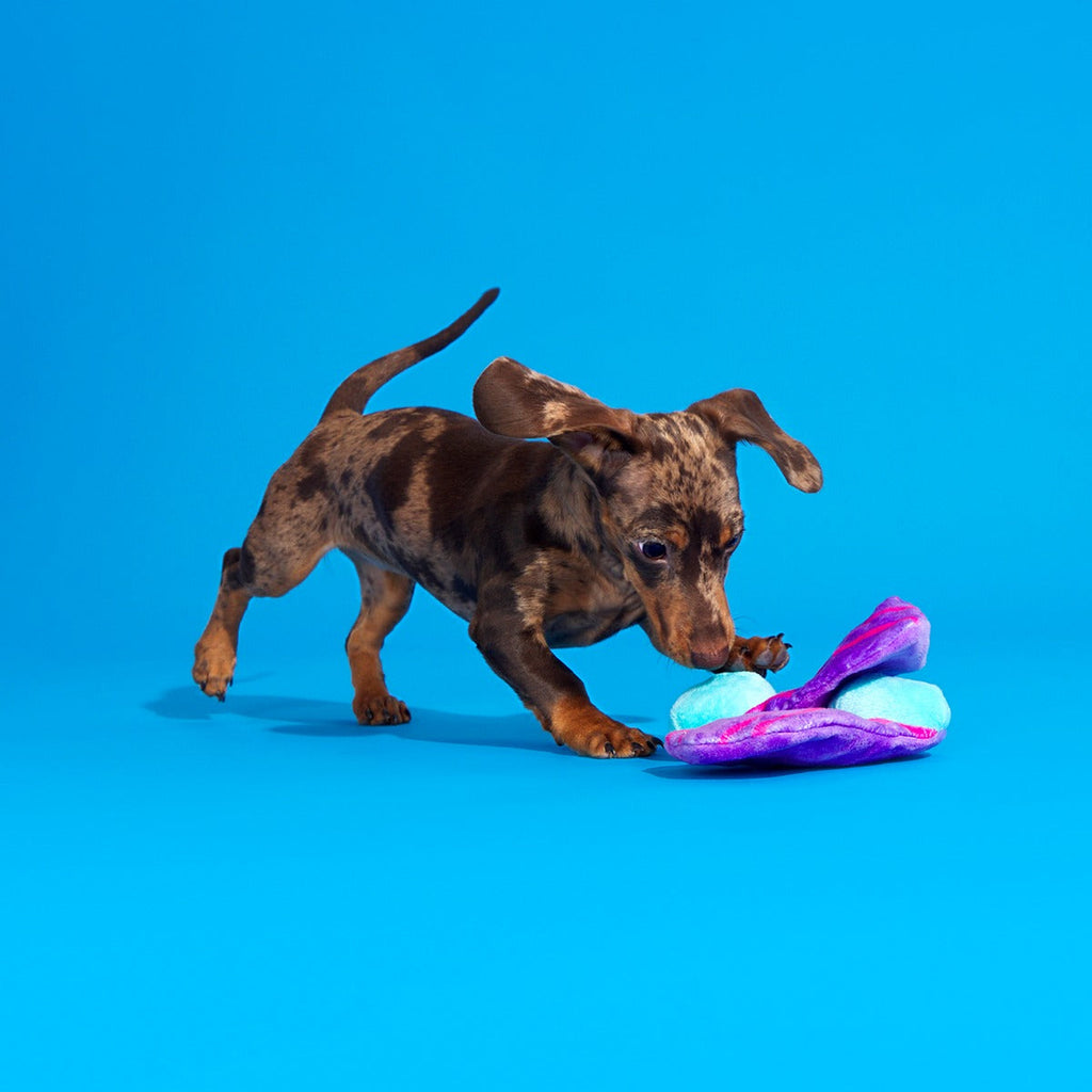 Snork N Bork Plush Multi-Part + Tug Dog Toy