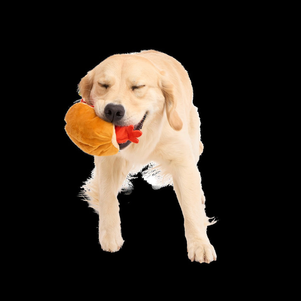 Frank Flirter Plush Tug Dog Toy