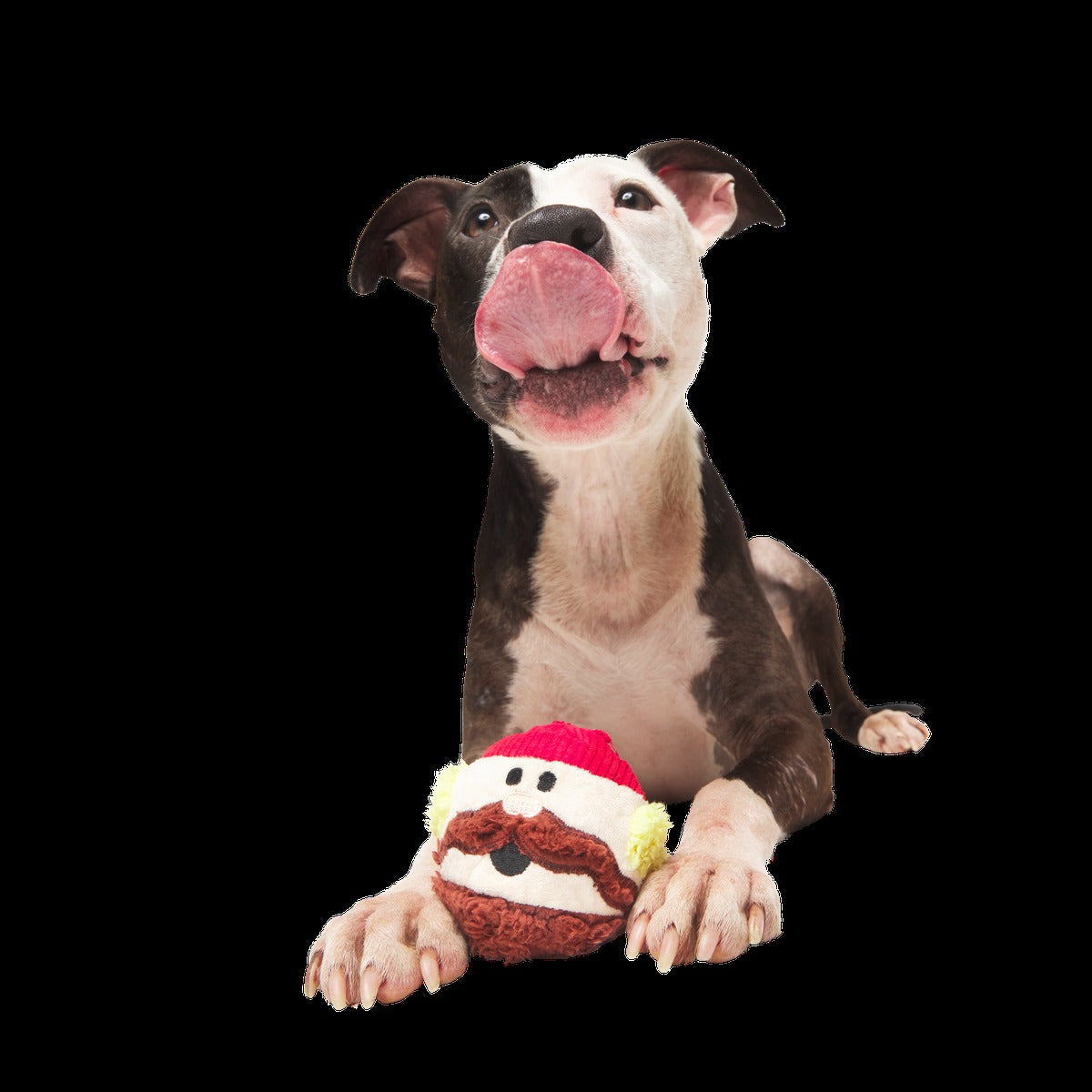 Rudolph® Holiday Super Chewer Gift Box