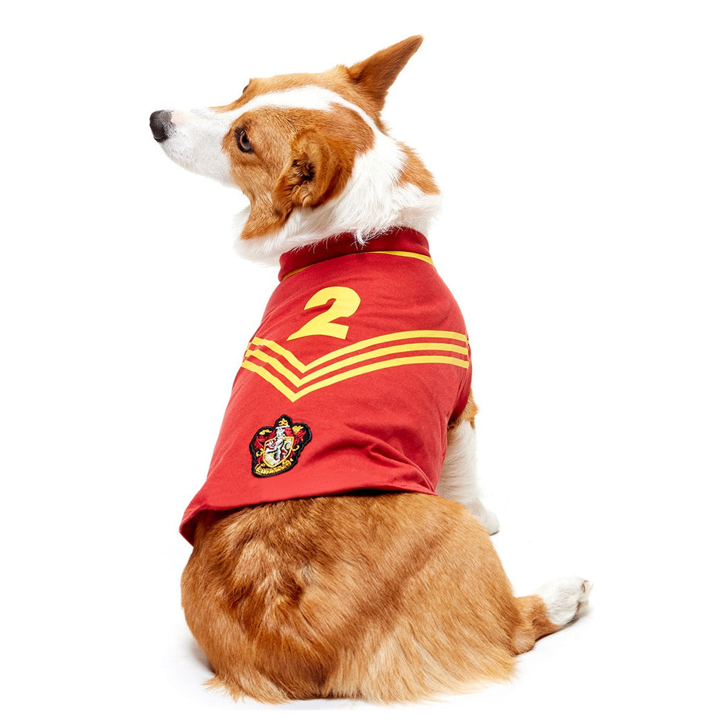 QuidditchTM Jersey