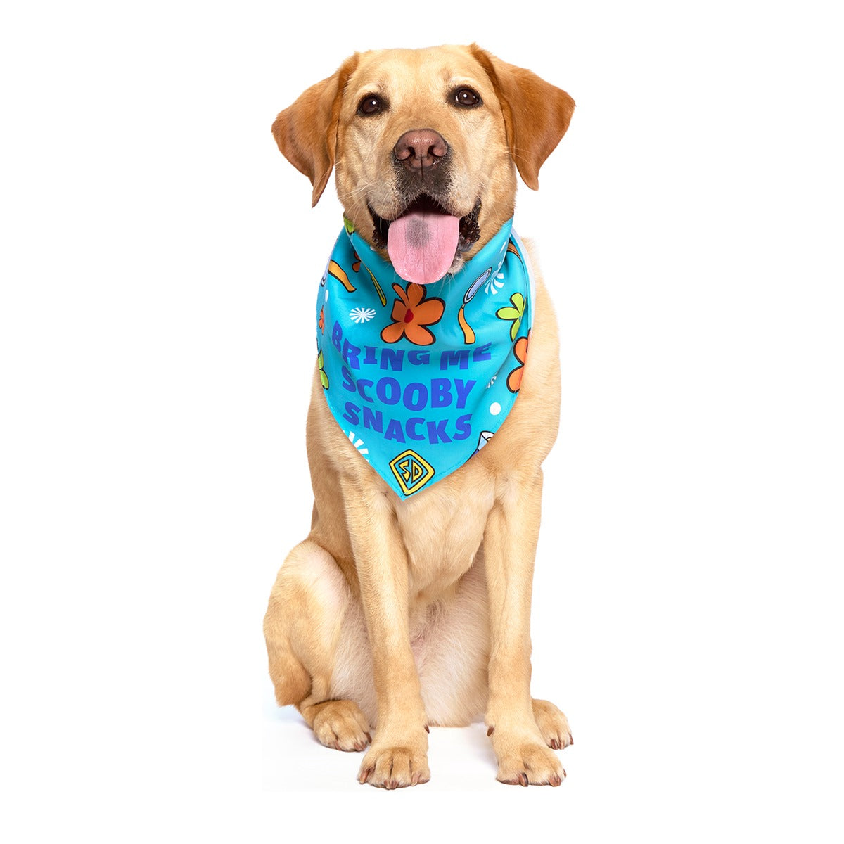 ScoobyTM Snacks Dog Bandana