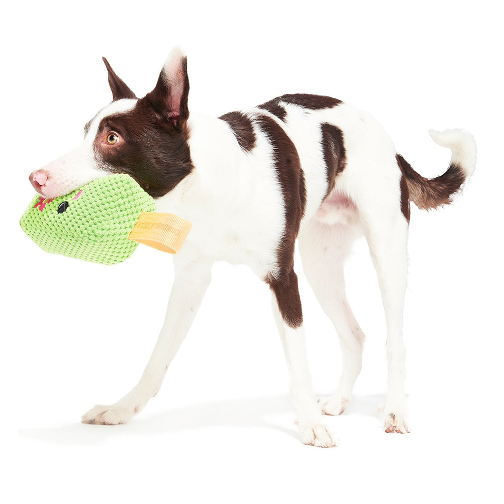 Consuela Pop Plush 2-in-1 + Tug Dog Toy