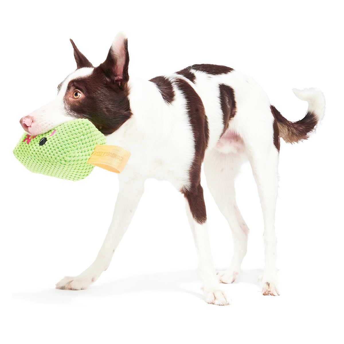 Consuela Pop Plush 2-in-1 + Tug Dog Toy