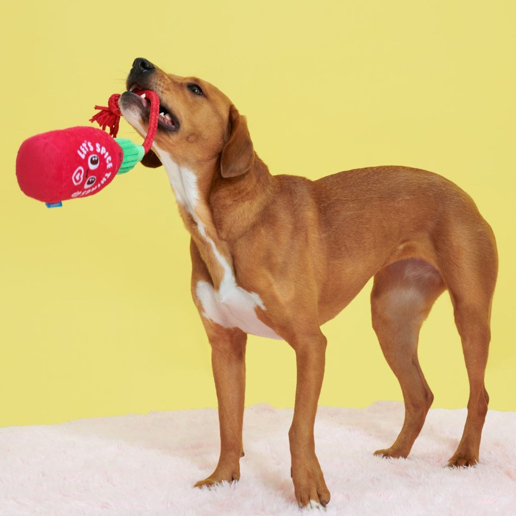 Hot Stuff Plush Tug Dog Toy