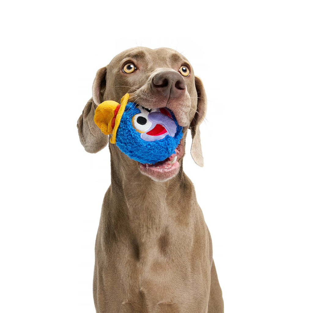 The Great Gonzo as "Charles Lick-ens" Super Chewer Durable 2-in-1 + Fetch Dog Toy