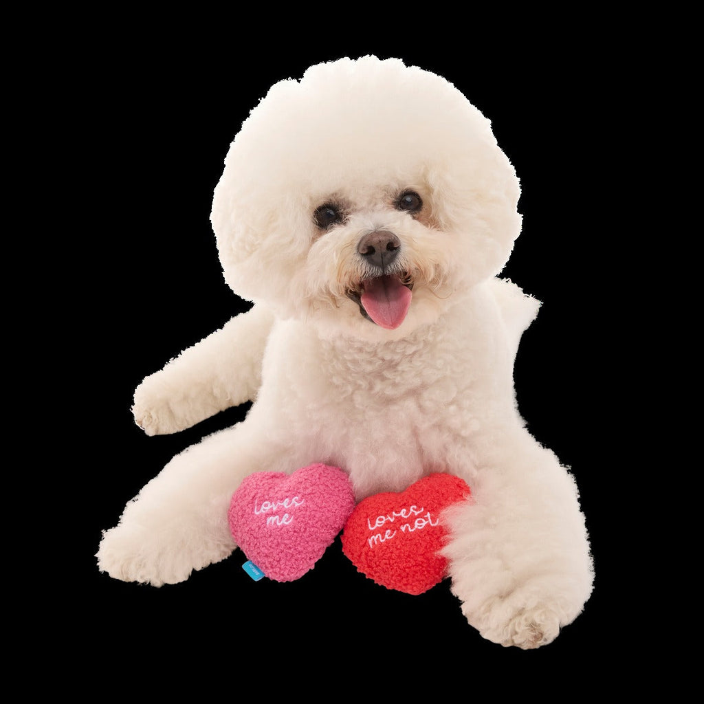 Love Me, Love Me Nots Plush Multi-Part Dog Toy