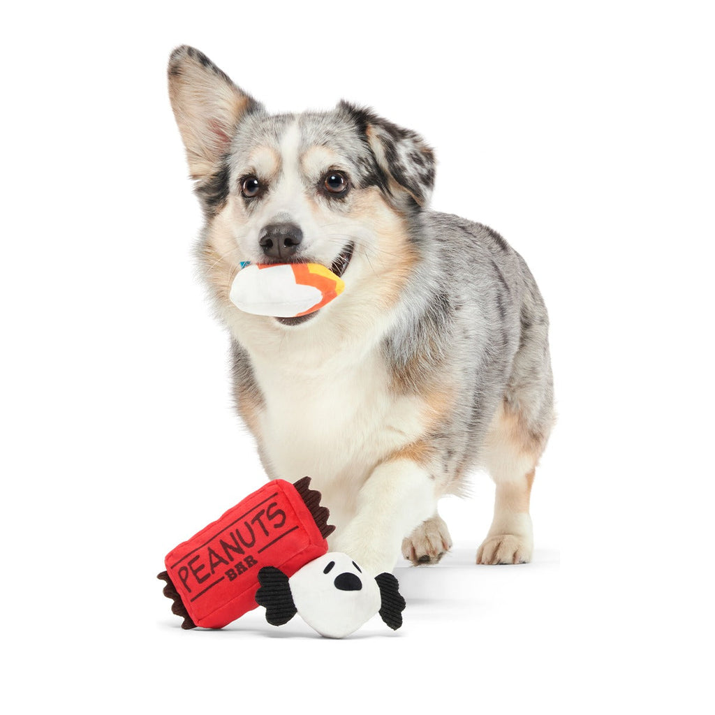 Snoopy Howl-O-Ween Candy Plush Multi-Part Dog Toy