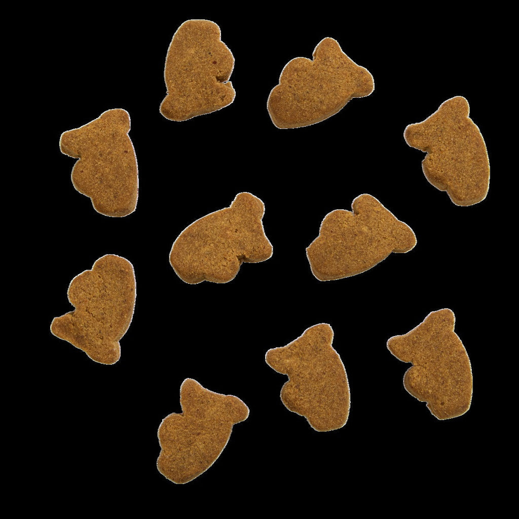 Scooby-DooTM Digestive Dog Treat Supplements, 30 Ct