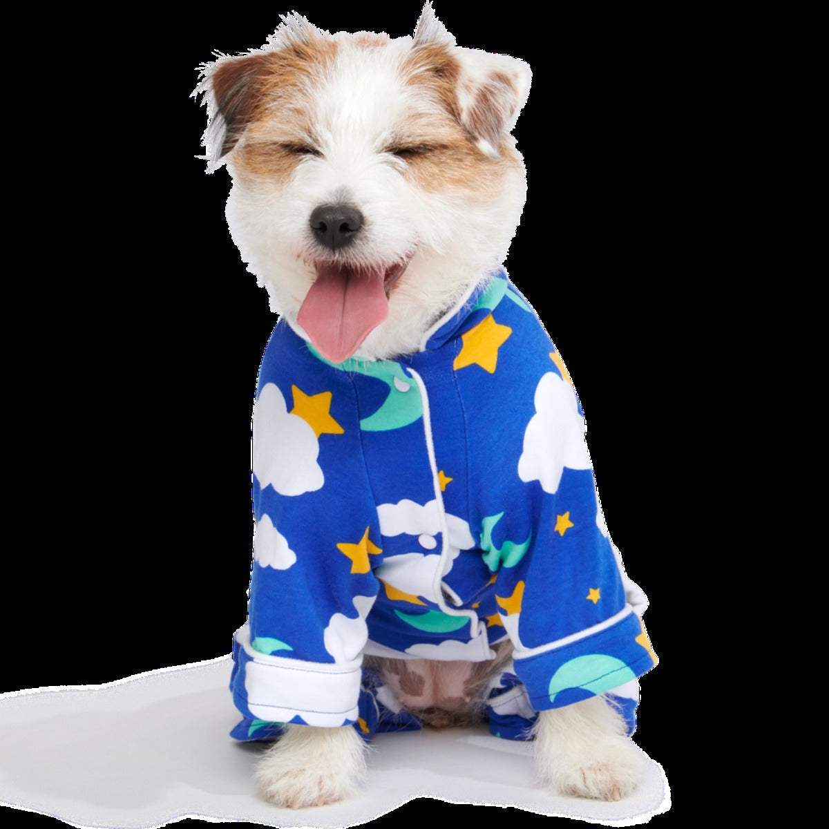 Slumber Party Dog Pajamas