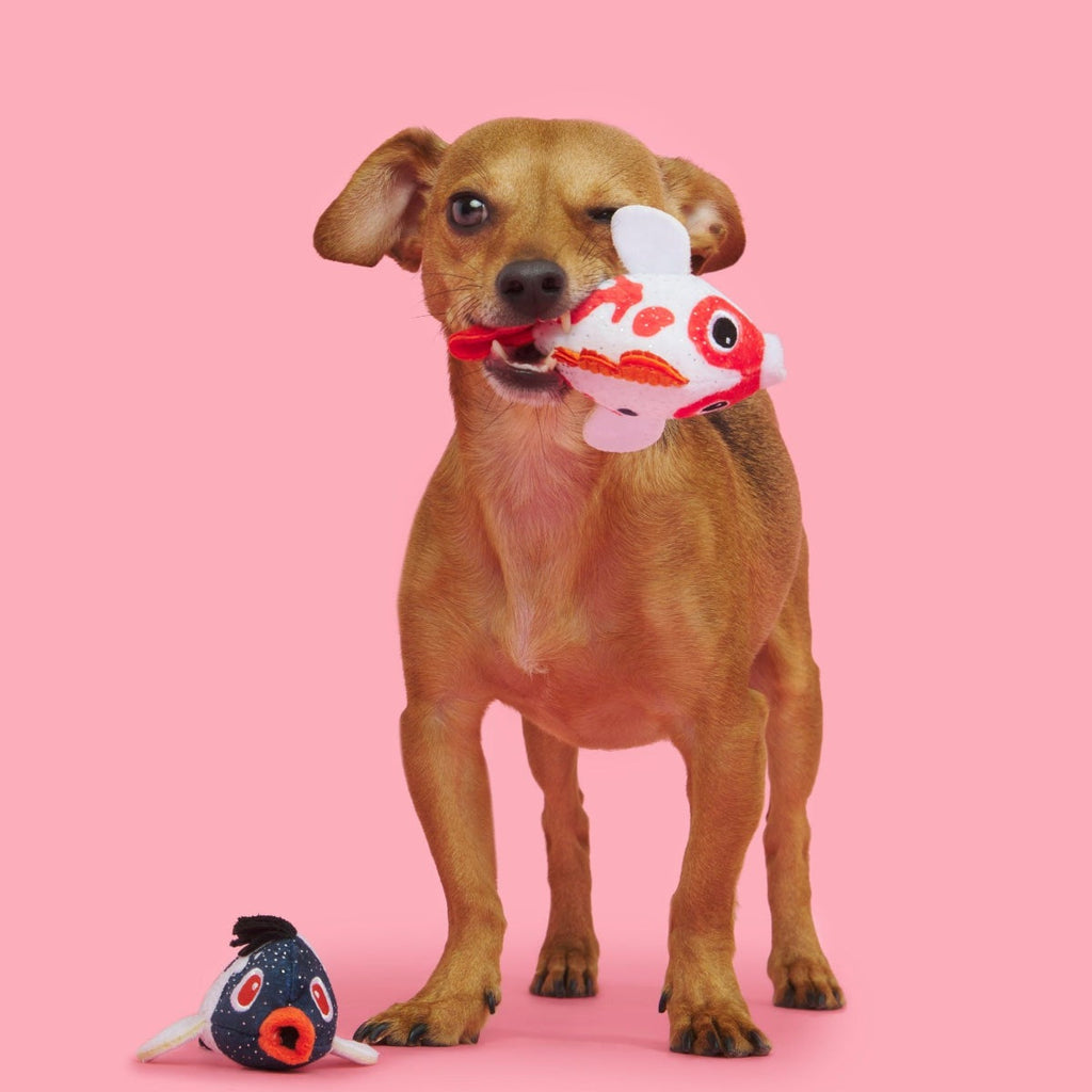 Toi Koi Plush Multi-Part Dog Toy