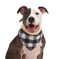 Plaid To The Bone Dog Bandana