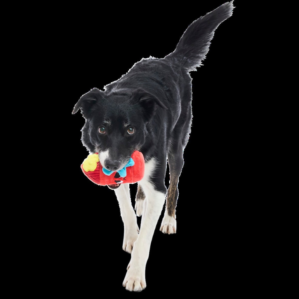 Wetted Willie Super Chewer Durable 2-in-1 Dog Toy