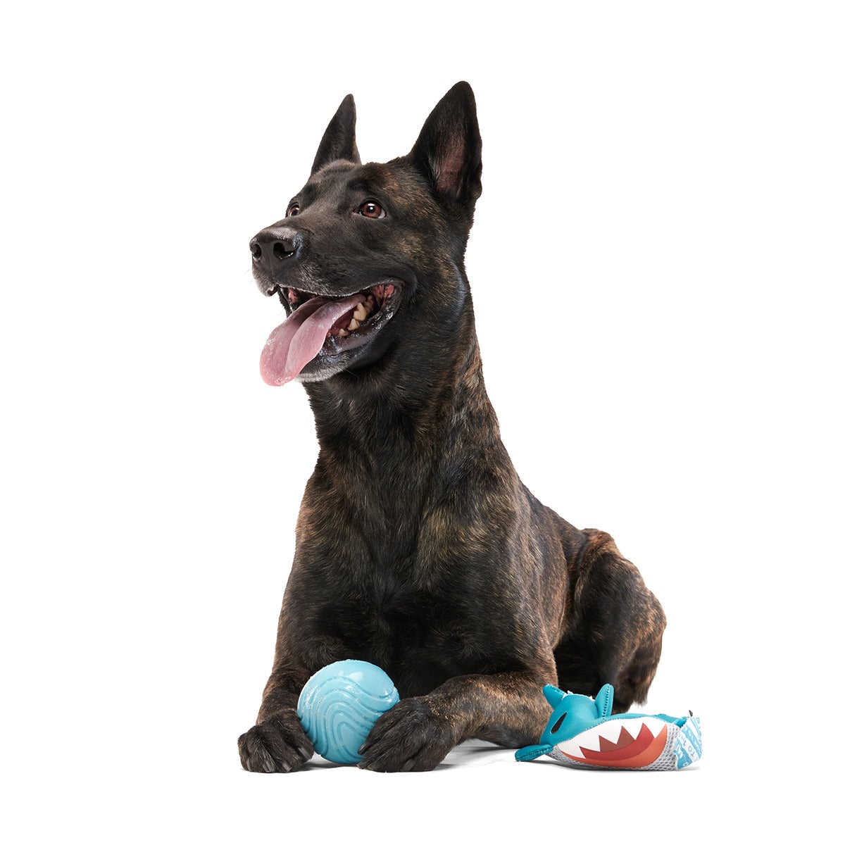 Great White Dwight Super Chewer Durable 2-in-1 + Fetch Dog Toy