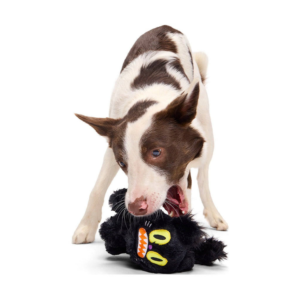 Scaredy Cat Plush Tug Dog Toy