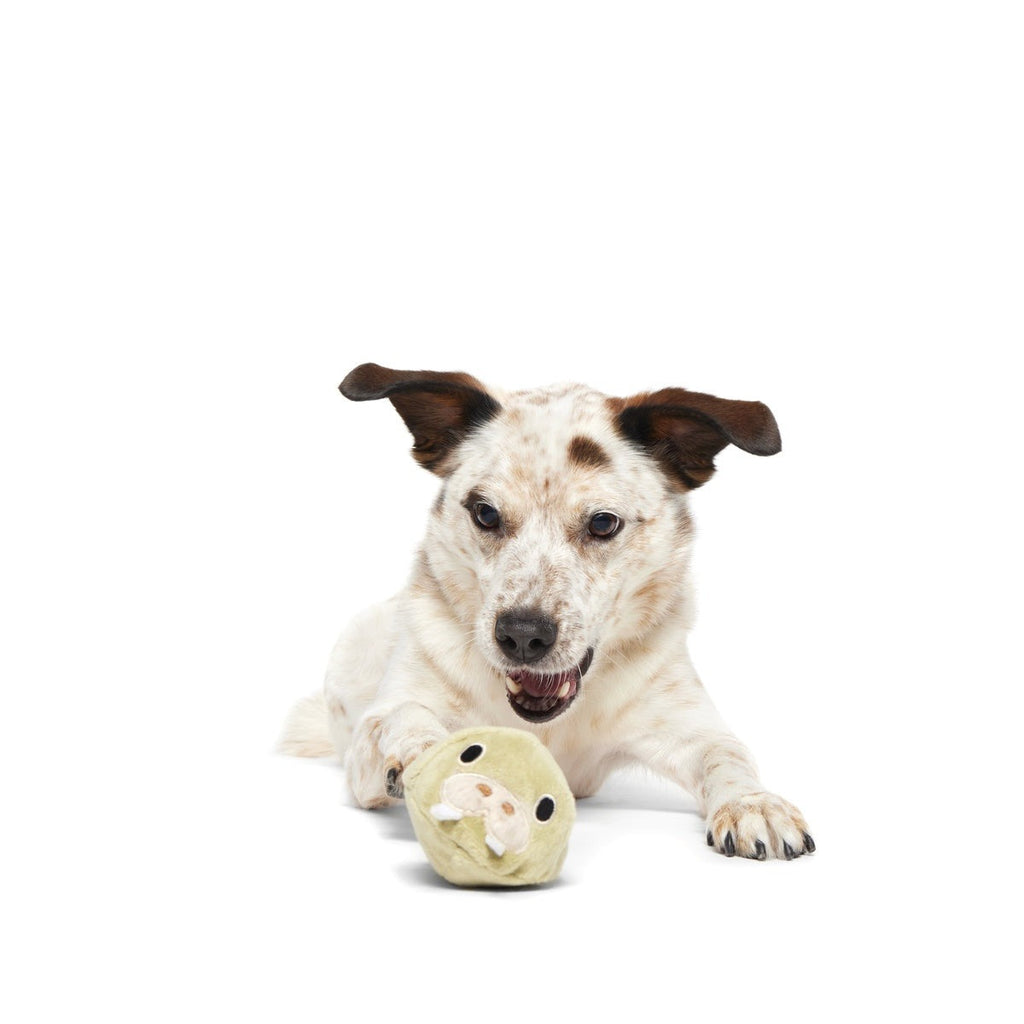 Full Belly Wally Super Chewer Durable 2-in-1 Dog Toy