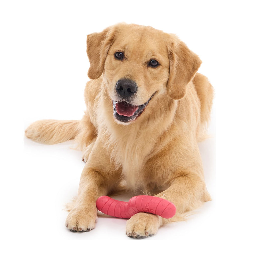 Turf Worm Super Chewer Durable Gnaw Dog Toy