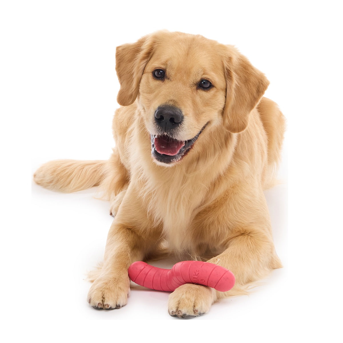 Turf Worm Super Chewer Durable Gnaw Dog Toy