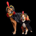 Jafar Dog Costume