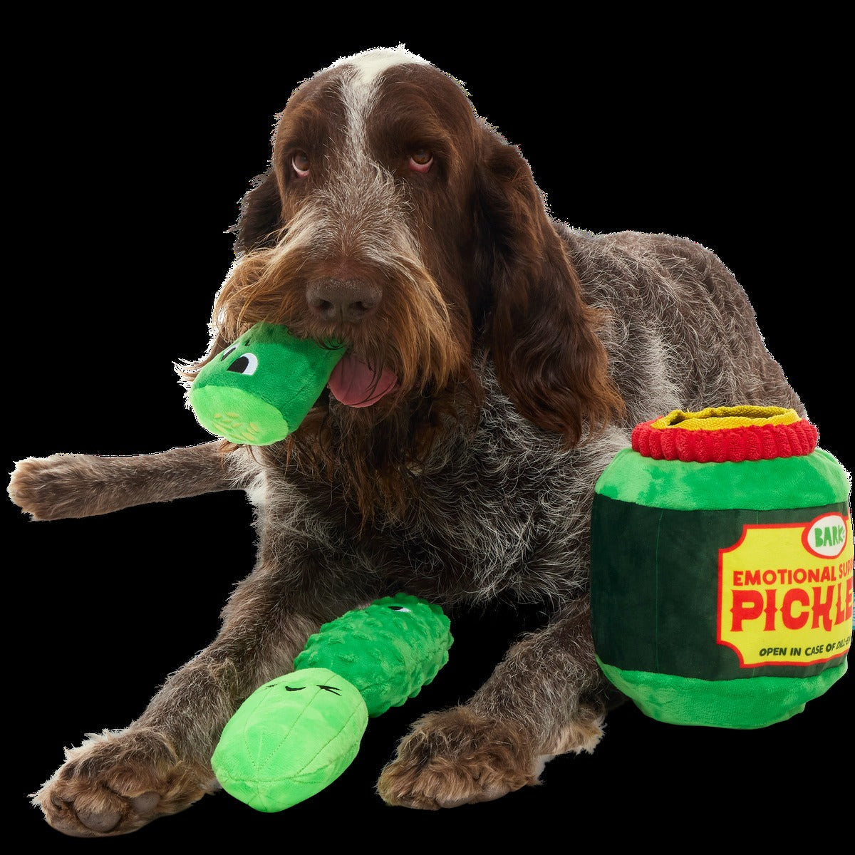 Dill-emma Squad Pickle Plush Extra-Large + Multi-Part Dog Toy