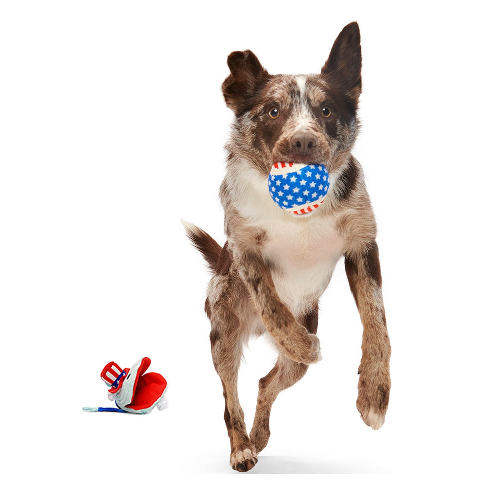 Uncle Clam Plush Multi-Part + Fetch + Enrichment Dog Toy