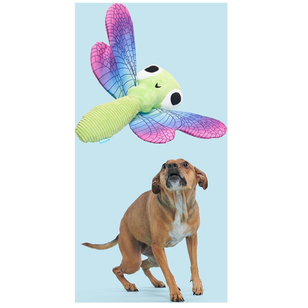 Dragonfly Guy Plush Extra-Large + Tug Dog Toy