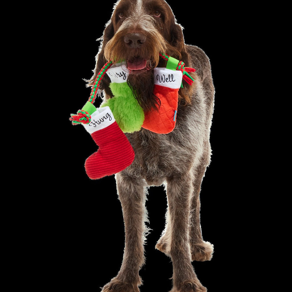 Well Hung Stockings Plush Tug Dog Toy