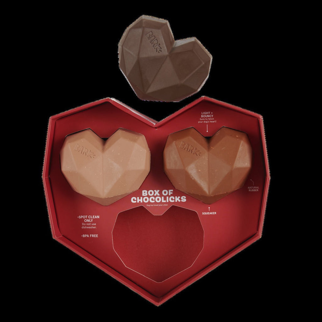 Box of Chocolicks Super Chewer Durable Multi-Part + Gnaw Dog Toy