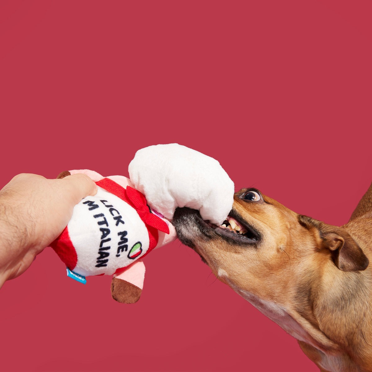 Tony Pupperoni Plush Tug Dog Toy