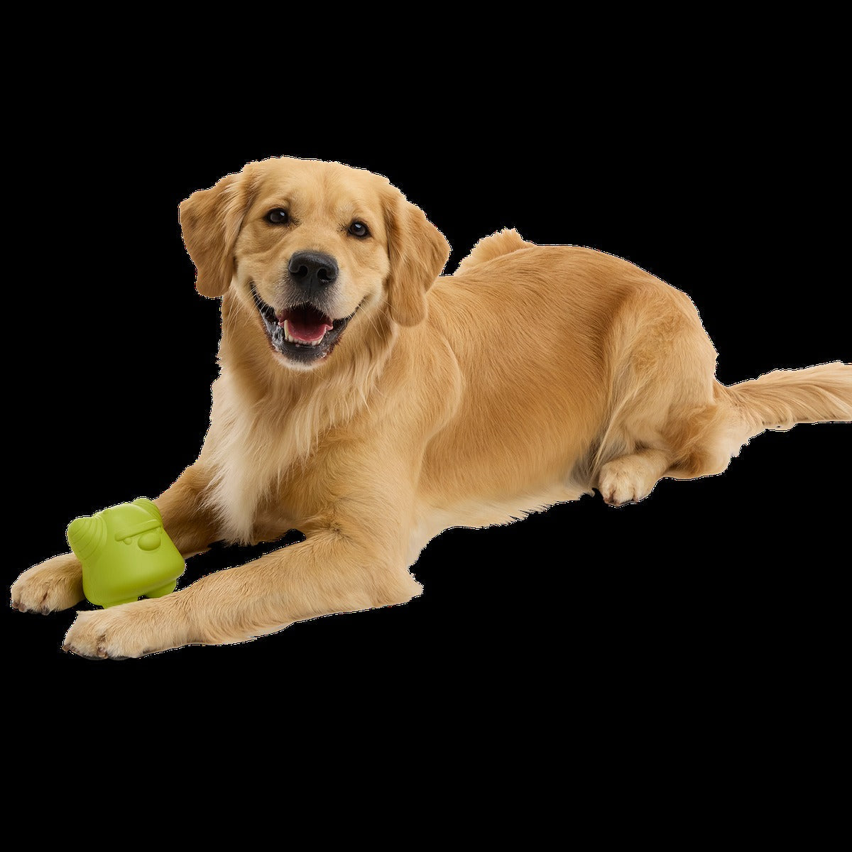 Goblin Booty Super Chewer Durable Gnaw Dog Toy