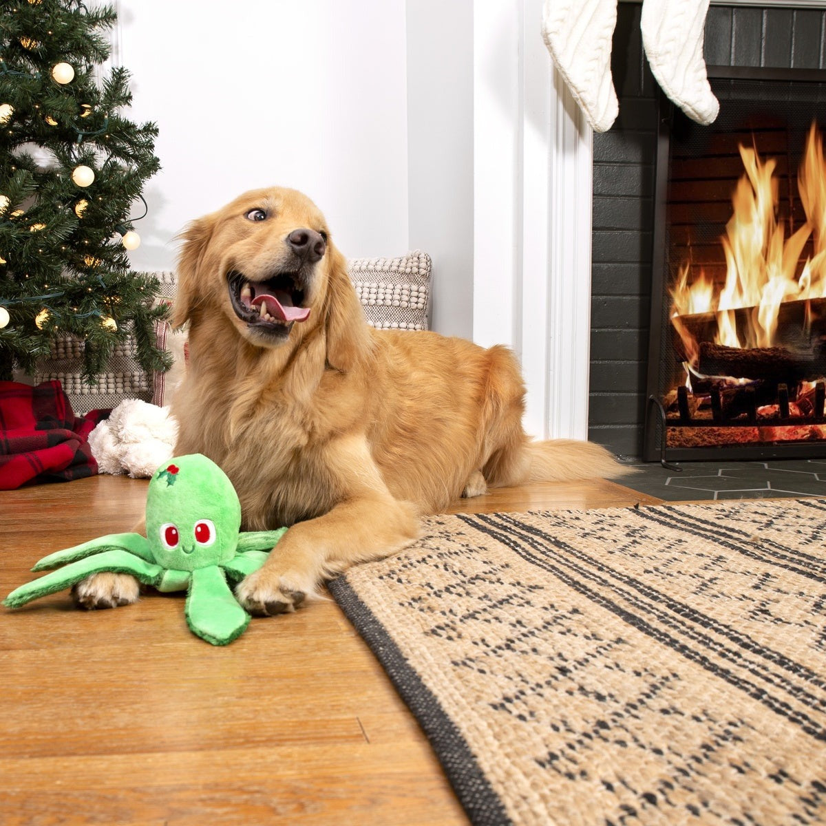 Holly Jolly Ollie Plush Tug Dog Toy