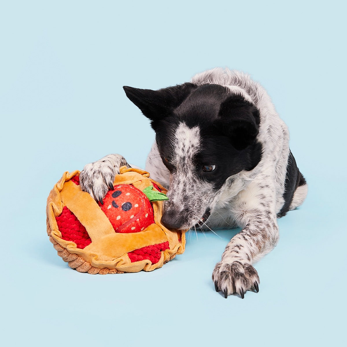 Strawberry Pie Plush Multi-Part + Enrichment Dog Toy