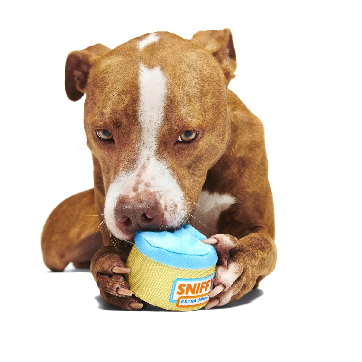 Sniffy Peanut Butter Super Chewer Durable 2-in-1 Enrichment Dog Toy