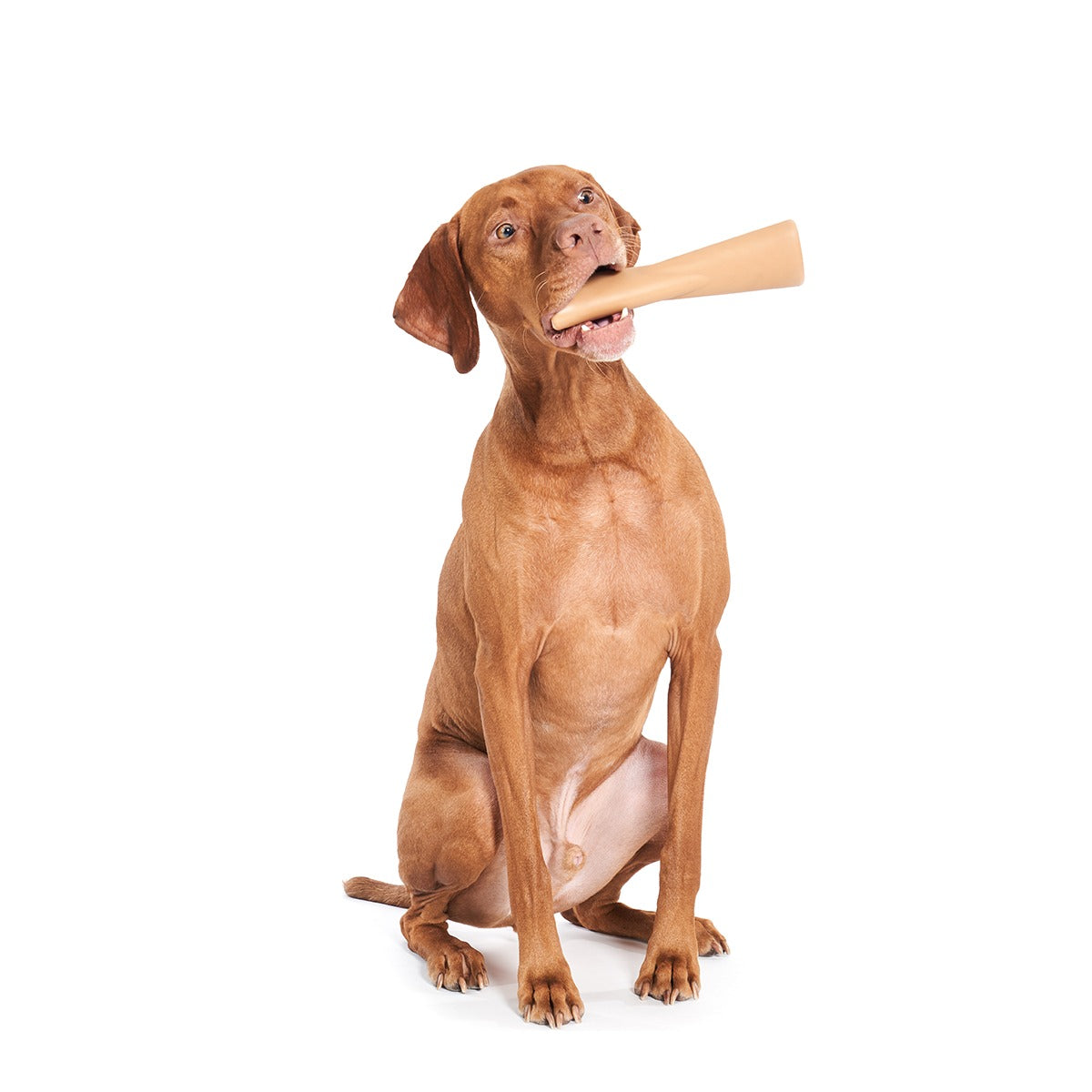 Mighty Bone Super Chewer Durable Gnaw Dog Toy