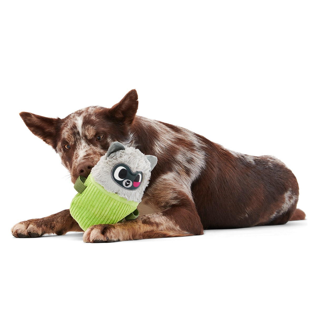 Rickie Racoon the Trash Tycoon Plush Enrichment + Multi-Part Dog Toy