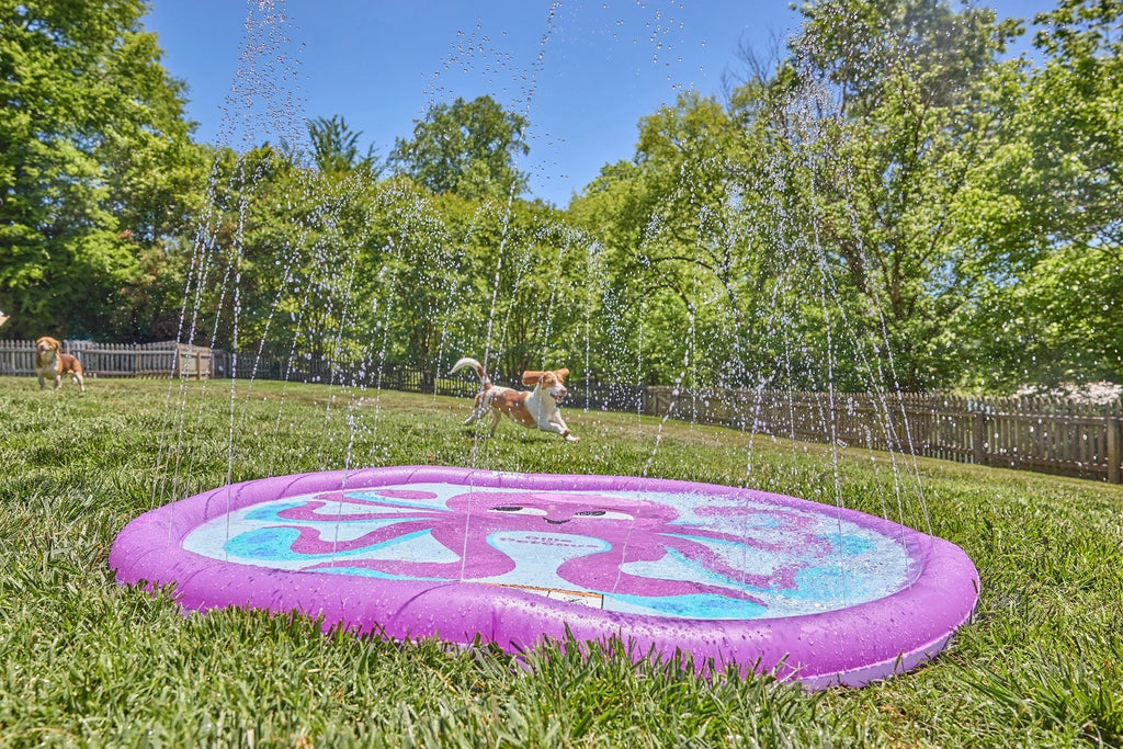 FUNBOY Water Toy