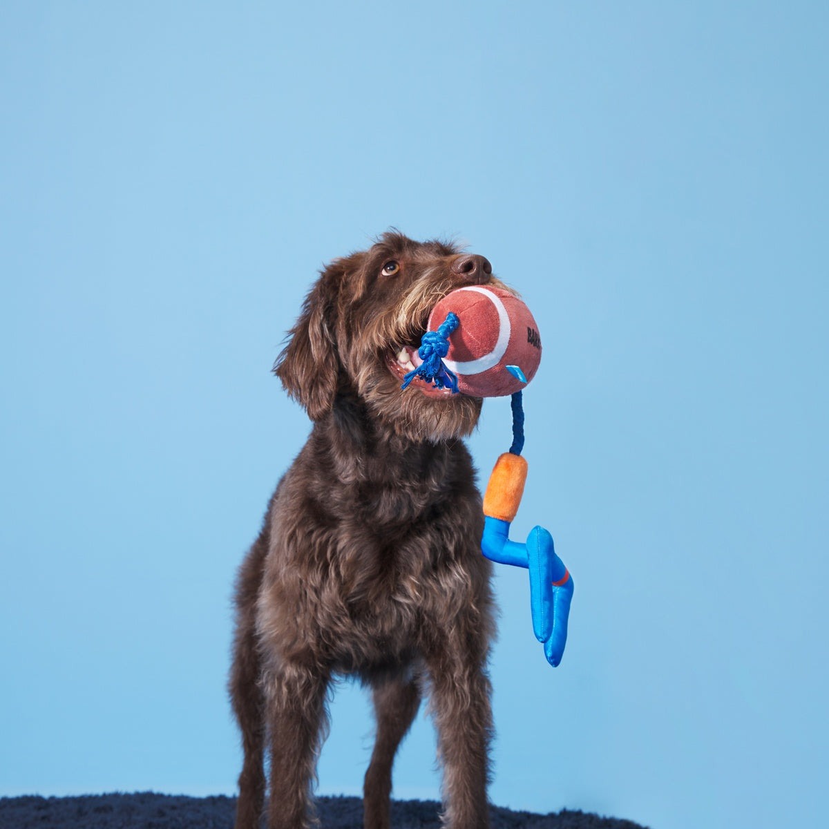 The Whole Canine Yards Plush Tug Dog Toy