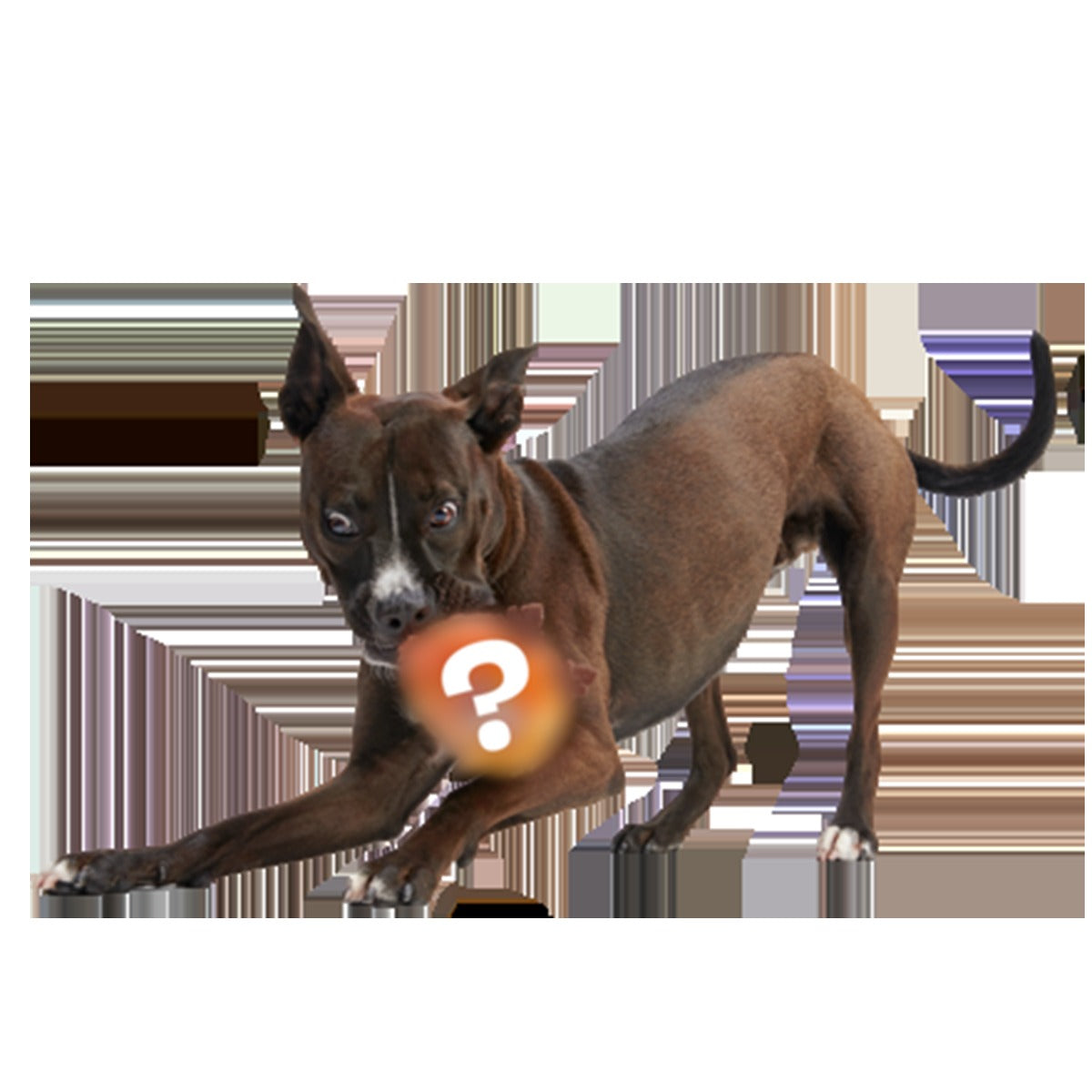 Secret Monster Club, Super Chewer Durable 2-in-1 Rip and Reveal Monthly Dog Toys