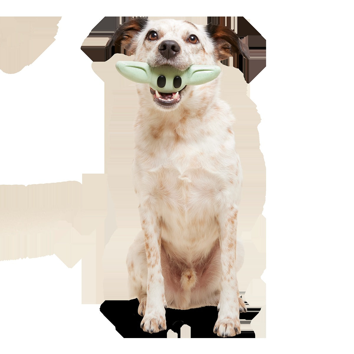 Chew and Chase GroguTM Super Chewer Durable Gnaw Dog Toy