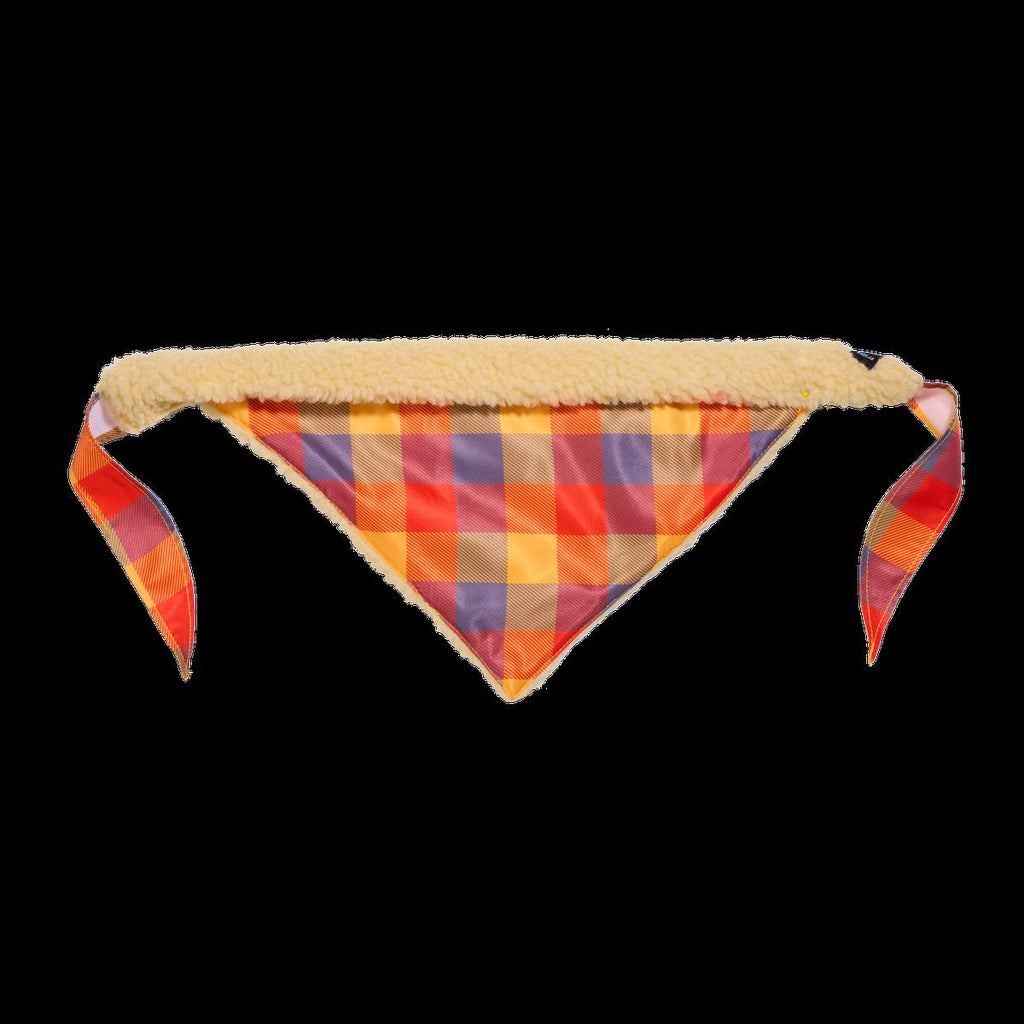 Fall Teddy Dog Bandana
