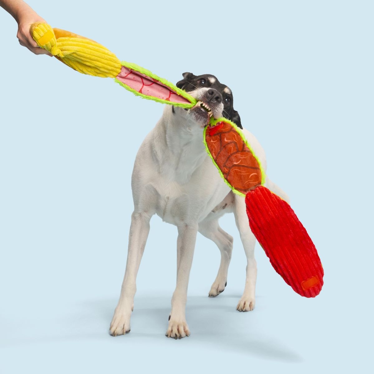 Big Bite Hoagie Plush Extra-Large + Tug Dog Toy