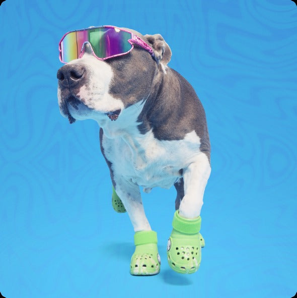 CrocsTM Shoes For Dogs