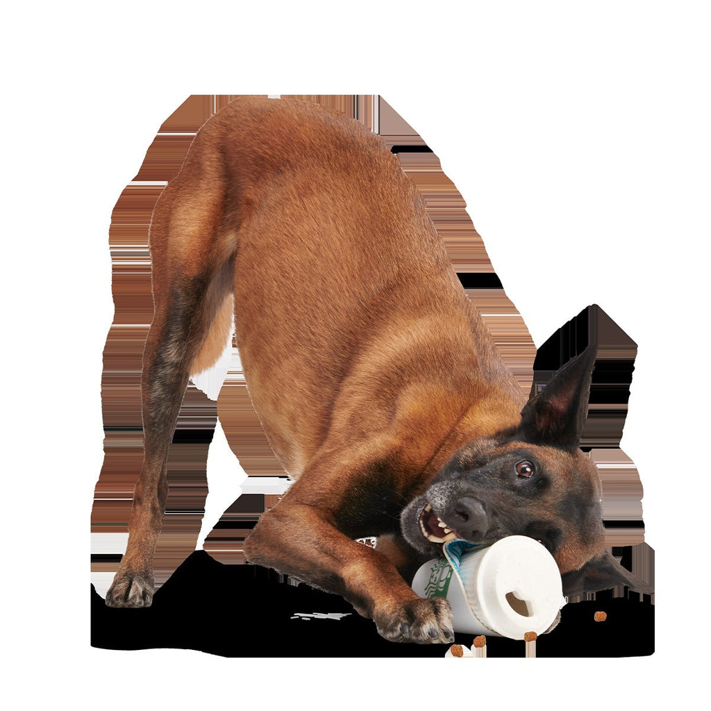 Pupkin Spice Yappuccino Super Chewer Durable 2-in-1 + Enrichment Dog Toy