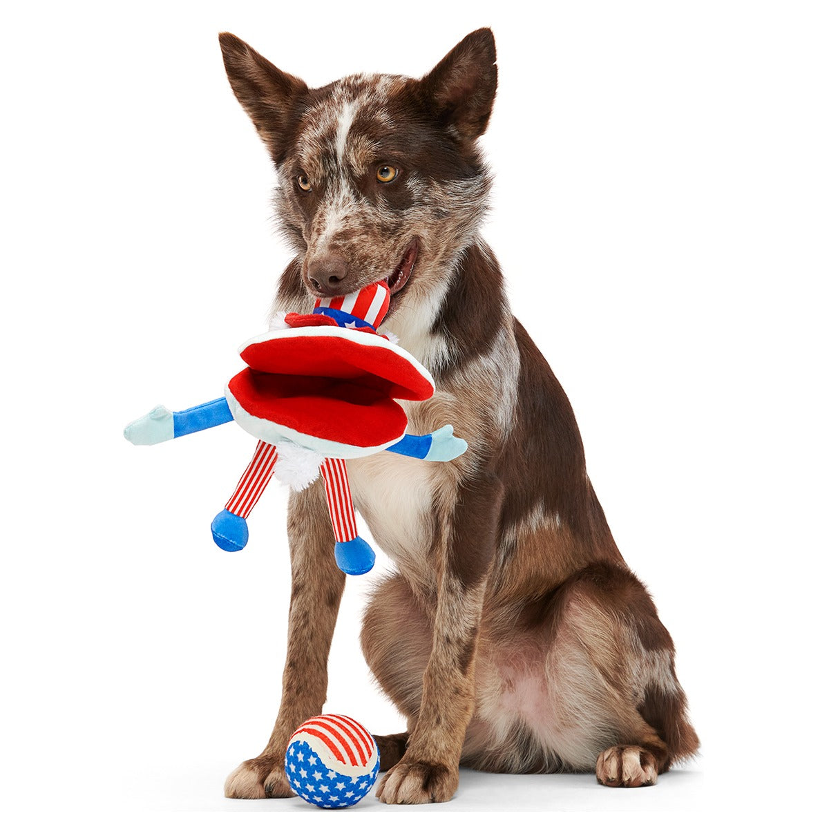 Uncle Clam Plush Multi-Part + Fetch + Enrichment Dog Toy
